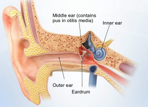 Pediatric Ear Infections Doctor, Los Angeles, CA